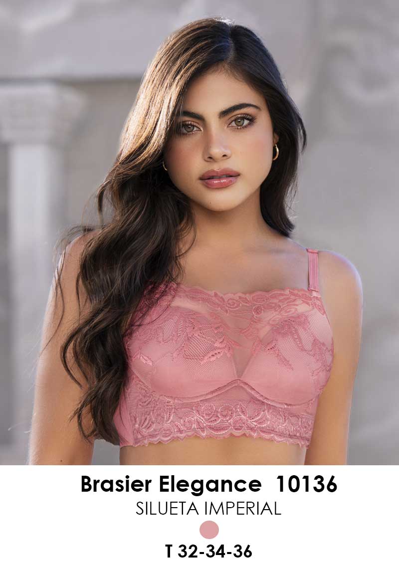 Brasier 10136