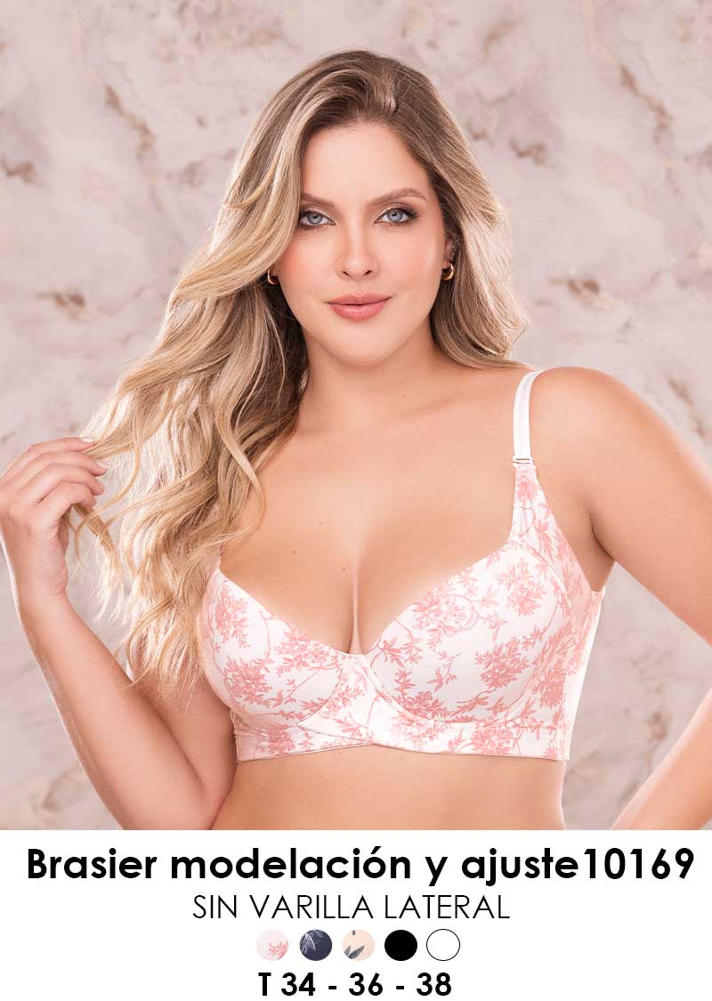 Brasier 10169