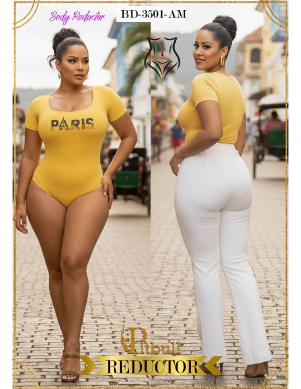 Body 3501