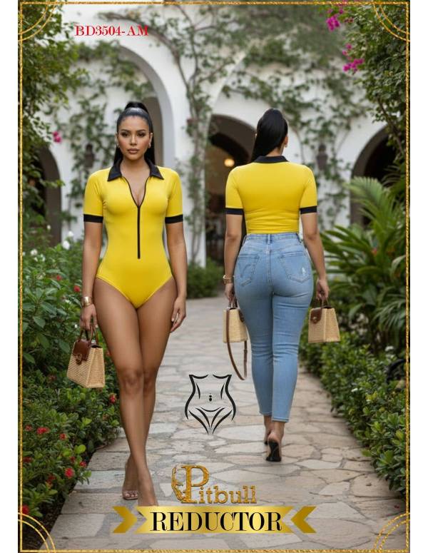 Body 3504