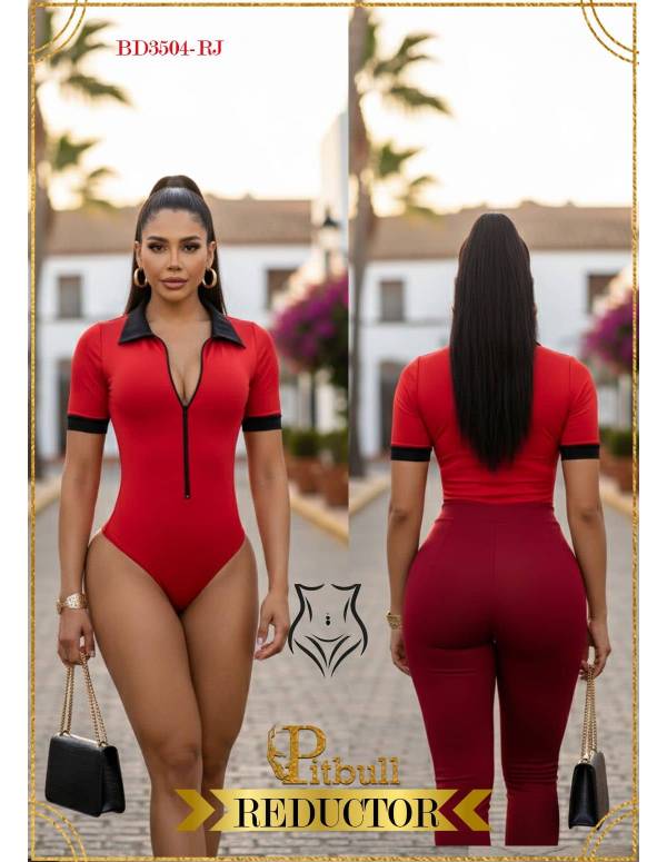 Body 3504