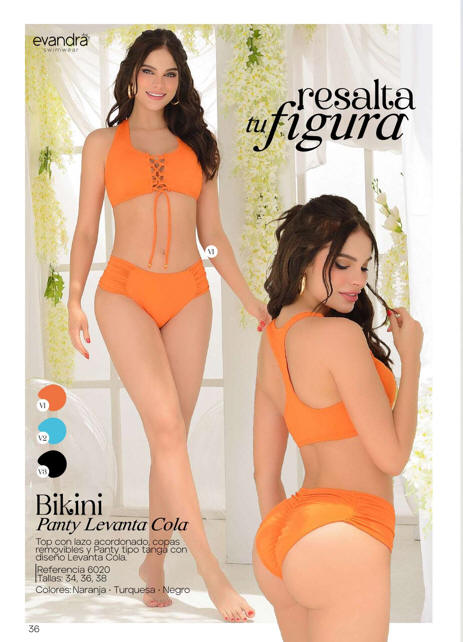 Bikini 6020